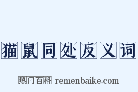 猫鼠同处反义词是什么意思的图片